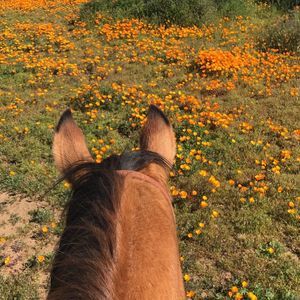 Meet your Posher, Lenette